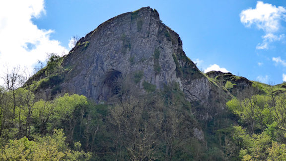 view